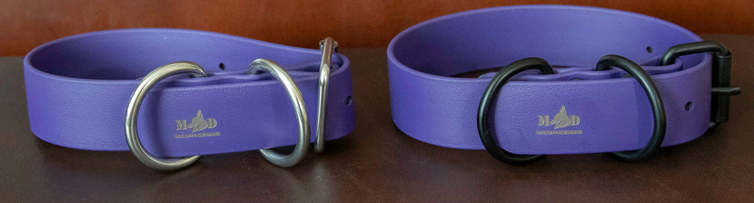 1.5" Biothane Collar