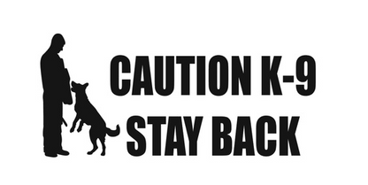 Window Decal