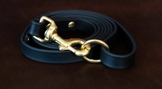 3/4" Biothane Dog Leash