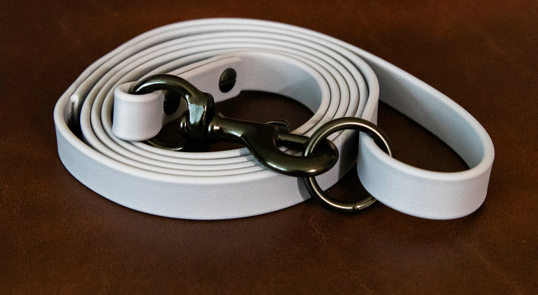 3/4" Biothane Dog Leash