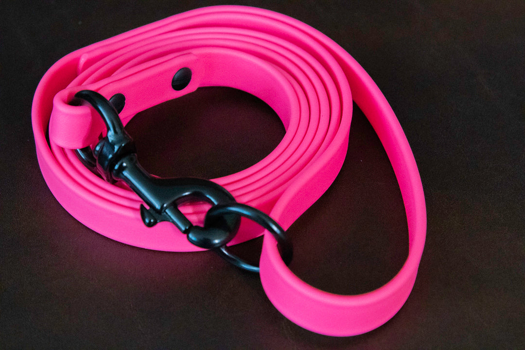 3/4" Biothane Dog Leash