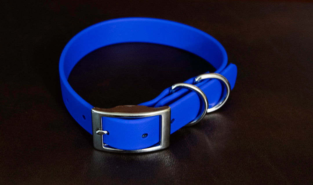 1" Biothane Collar