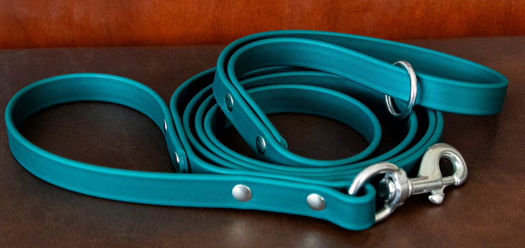 3/4" Biothane Double Handle Dog Leash