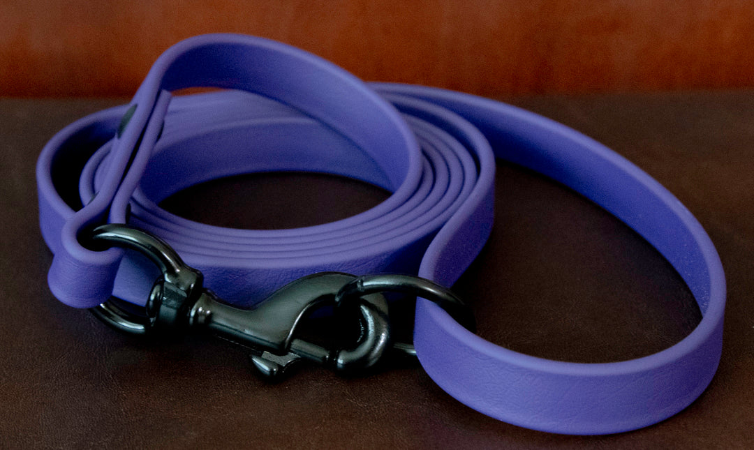 3/4" Biothane Dog Leash