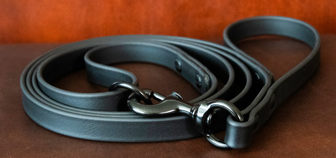 3/4" Biothane Double Handle Dog Leash