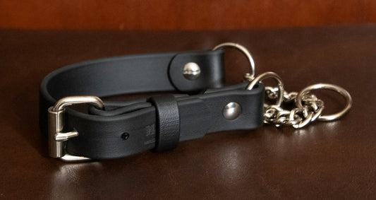 1" Biothane Martingale Training Collar