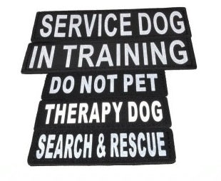 Dogline Removable Reflective Patches